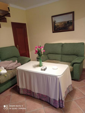 Casa Carrasco, Algar